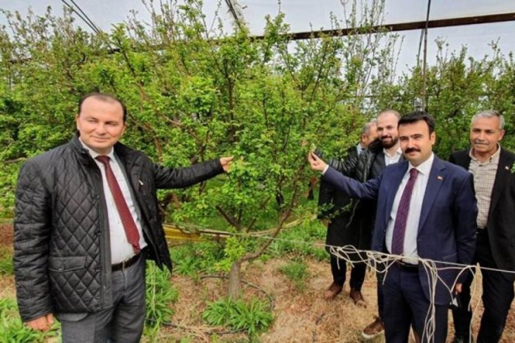 &Ouml;rt&uuml; altında yetiştirilen eriğin kilogramı 800 lira