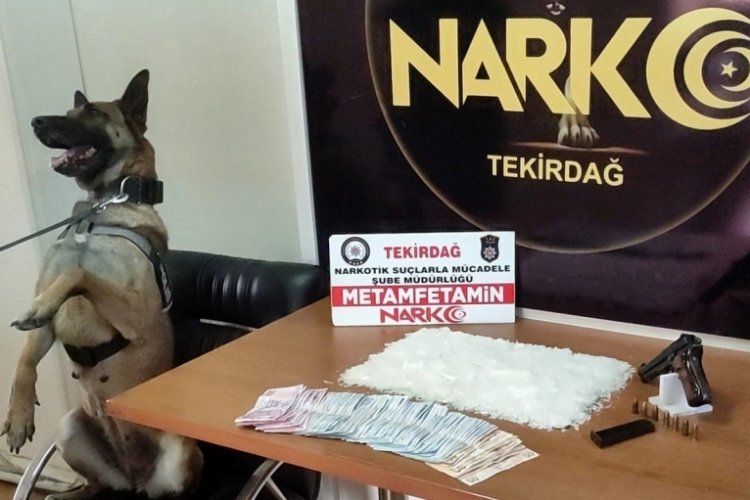 'Larissa' uyuşturucuyu buldu, otomobil s&uuml;r&uuml;c&uuml;s&uuml; tutuklandı