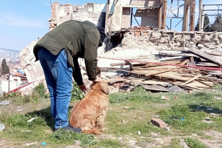 Hurdacının girdiği bina &ccedil;&ouml;kt&uuml;