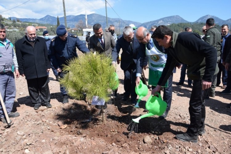 Antalya'da 15 Temmuz Şehidi anısına 250 fidan dikildi