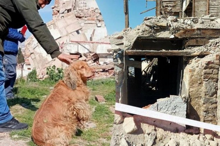 Demirlerini s&ouml;kt&uuml;ğ&uuml; binanın altında kaldı!