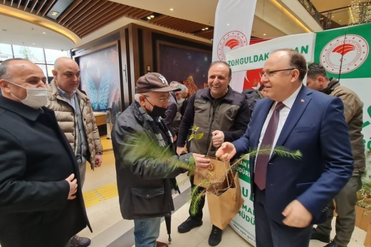 Zonguldak'ta vatandaşlara  fidan dağıtıldı