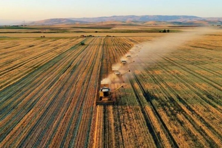 2022 Mazot g&uuml;bre desteği ne kadar?