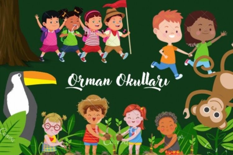 Gen&ccedil;lerden doğa sevdiren bir proje: Orman Okulu