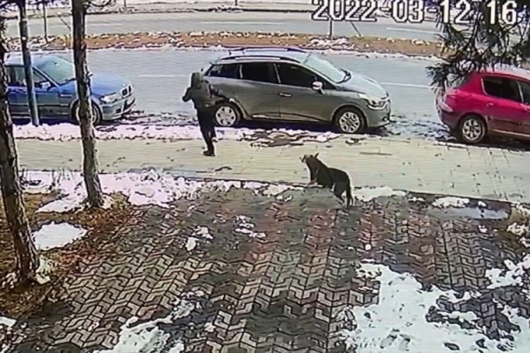 Sivas'ta k&ouml;pekten ka&ccedil;arken otomobilin &ccedil;arptığı Baran'a ziyaret