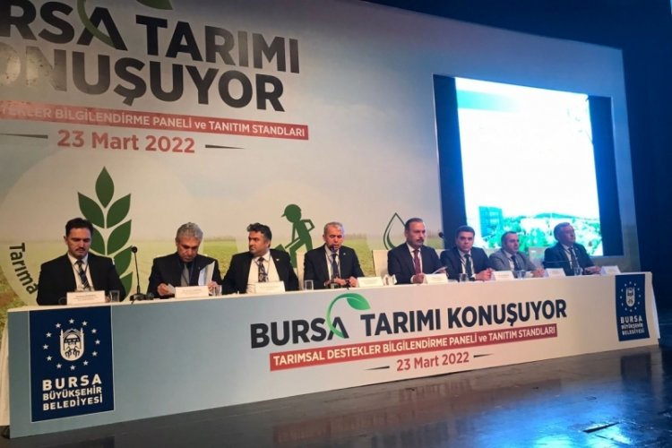 Bursa tarımı konuşuyor