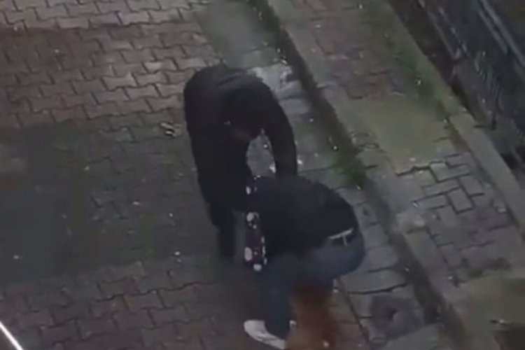 İstanbul'da pitbul dehşeti, pitbulun ısırdığı genci zor kurtardılar