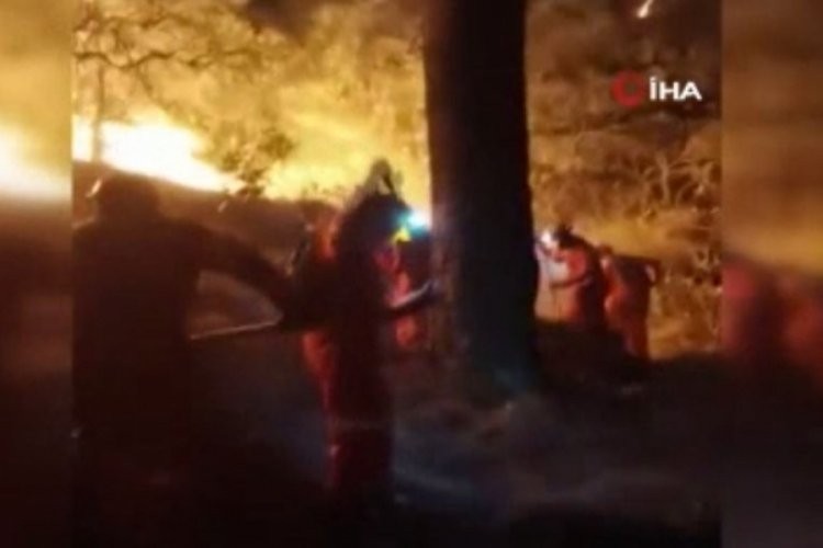 Meksika'da uyuşturucu bağımlısı ormanlık alanı yaktı