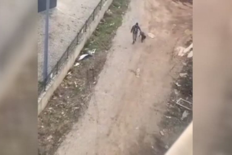 K&ouml;peğe şiddet kamerada!