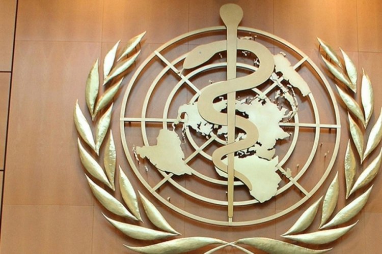 DS&Ouml; a&ccedil;ıkladı: Her yıl 1,5 milyon insanı &ouml;ld&uuml;r&uuml;yor