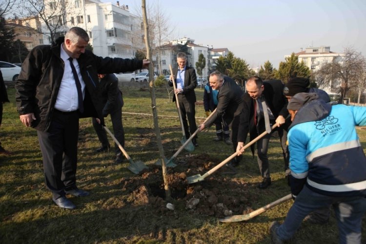Bursa'da fidanlar toprakla buluştu!