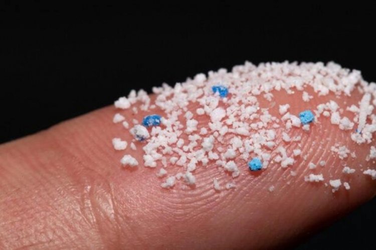 Hollandalı bilim insanları insan kanında  mikroplastik tespit etti