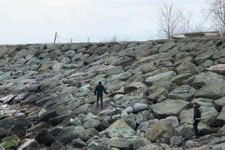 Kadavra k&ouml;pekleriyle ceset arandı