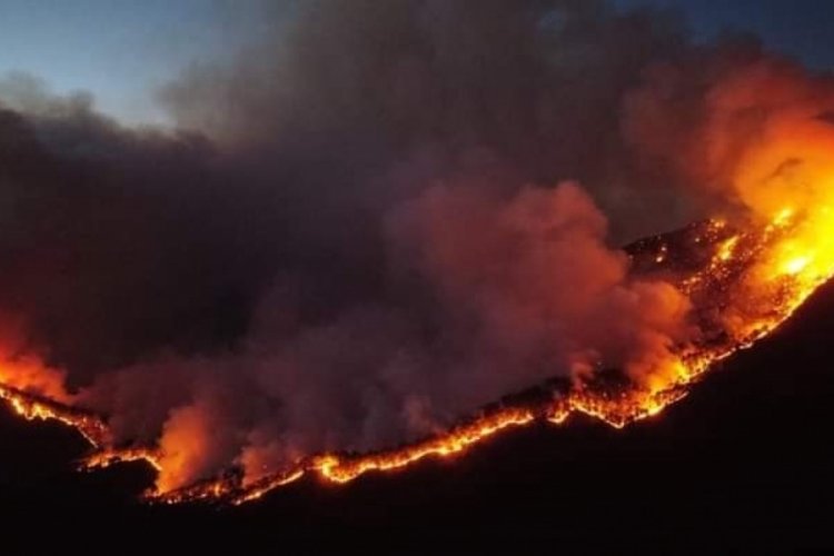 Meksika'da onlarca farklı noktada orman yangını bildirildi