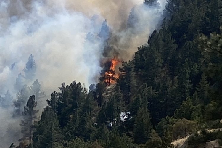 ABD'de orman yangını nedeniyle 19 bin kişi tahliye edildi