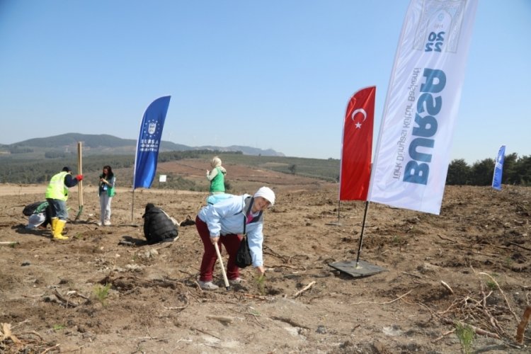 Bursa'da fidanlar toprakla buluştu