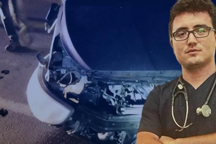 Muğla'da veteriner kaza kurbanı oldu