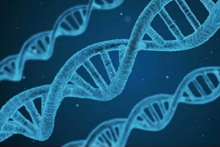 DNA ile uyumlu ila&ccedil;larla 'tıpta yeni bir d&ouml;nem' mi başlıyor?