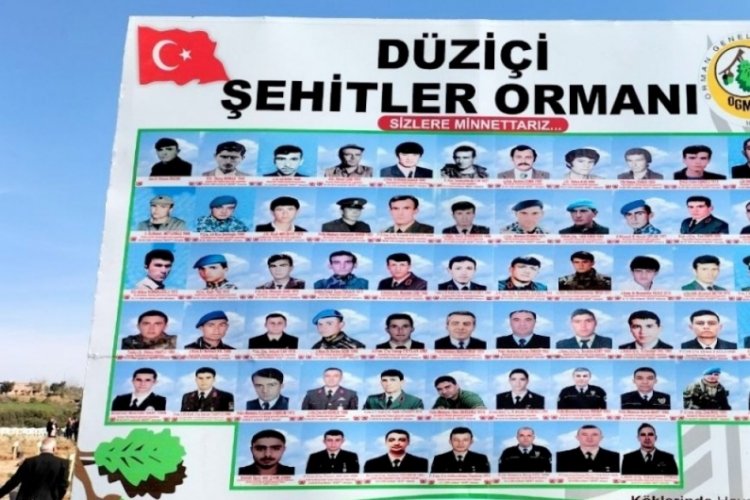 Osmaniye'de "Şehitler Ormanı"...