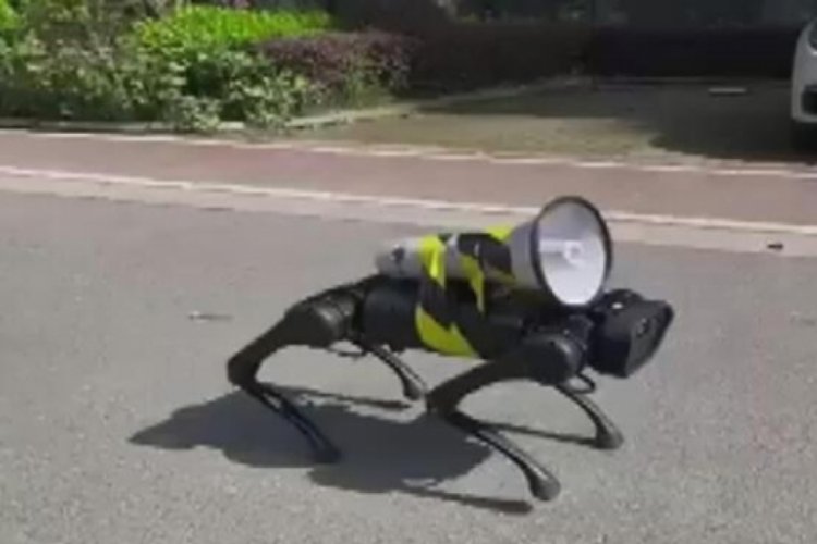 &Ccedil;in'de dolaşan robot k&ouml;pek g&uuml;ndem oldu