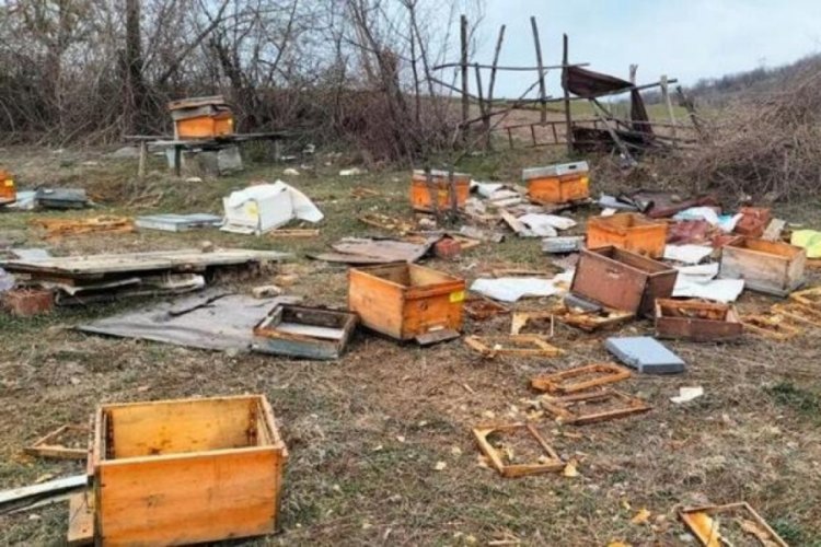 Arı kovanlarını g&ouml;r&uuml;nce şoke oldular