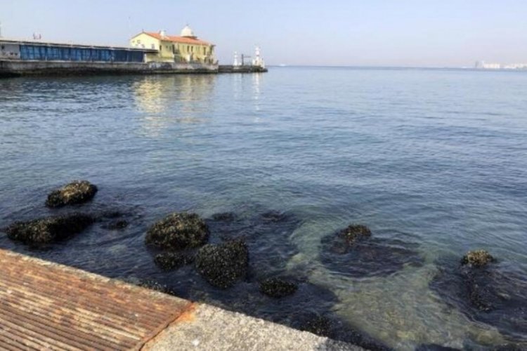 İzmir'de deniz suyu seviyesi azaldı, iskele kapatıldı