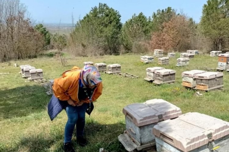 Arıcılıkta hedef: Kovansız mera kalmasın