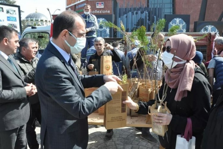 &Ccedil;anakkale Biga'da &uuml;cretsiz fidan dağıtıldı
