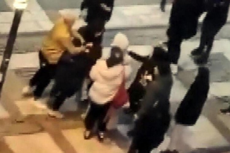 T&uuml;rk ve yabancı uyruklu kızlar kedi i&ccedil;in kavga etti
