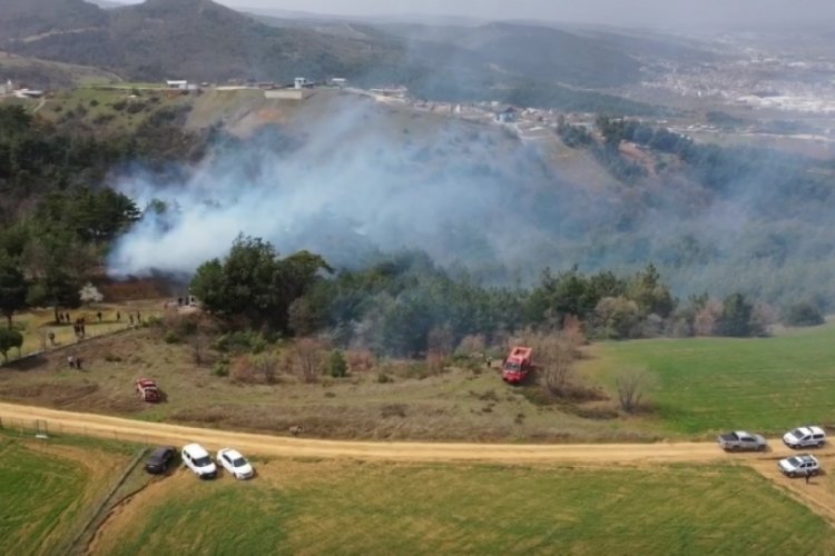 Bursa'da orman yangını