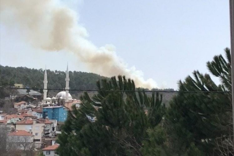 Bursa'da bir orman yangını daha