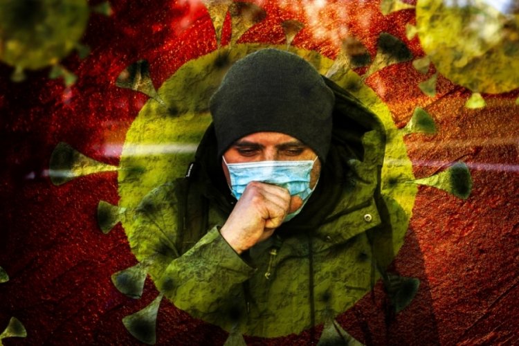 DS&Ouml;: Yeni salgın b&ouml;ceklerden bulaşacak