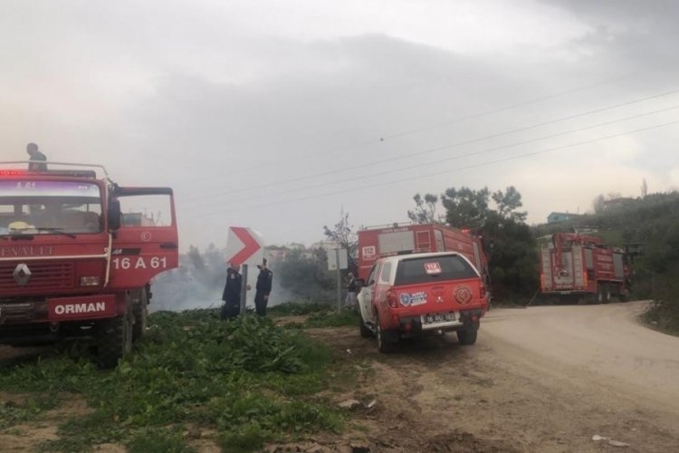 Bursa Gemlik'teki orman yangını kontrol altına alındı
