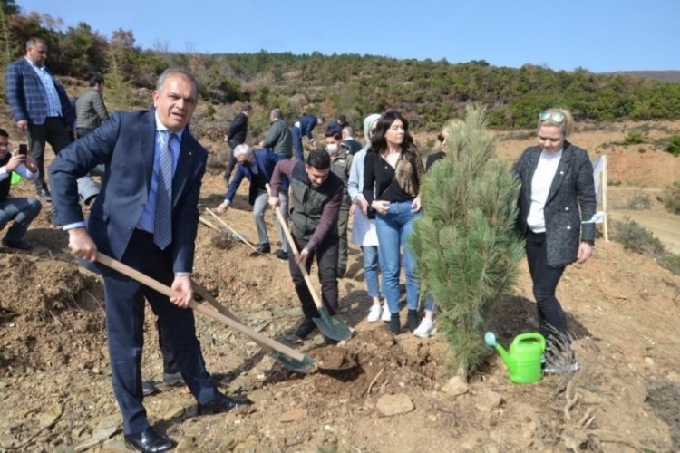 GTSO'dan her &uuml;ye i&ccedil;in bir fidan