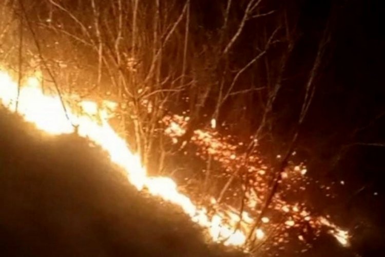 Bir orman yangını da Osmaniye'de &ccedil;ıktı