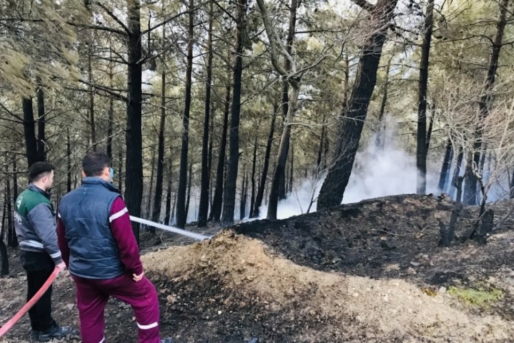 &Ccedil;anakkale'deki orman yangını kontrol altına alındı