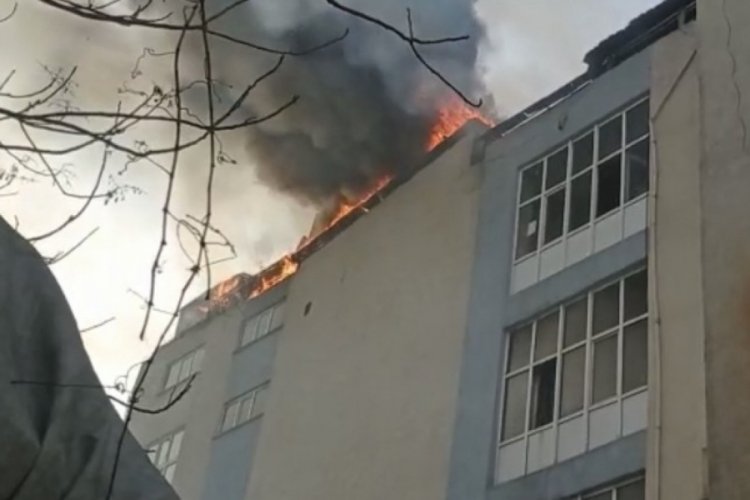 Sanayi sitesinde &ccedil;ıkan yangında 250 g&uuml;vercin telef oldu
