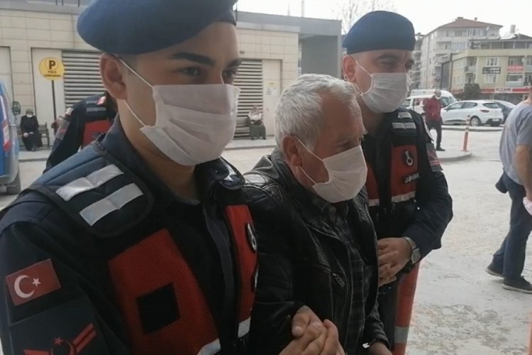 Bursa'da hamile k&ouml;peği &ouml;ld&uuml;ren şahıs serbest bırakıldı