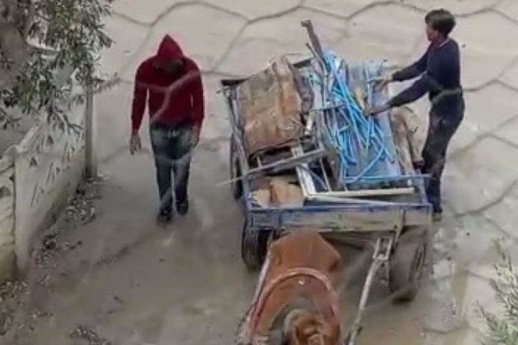 At arabasıyla gelip hırsızlık yaptılar