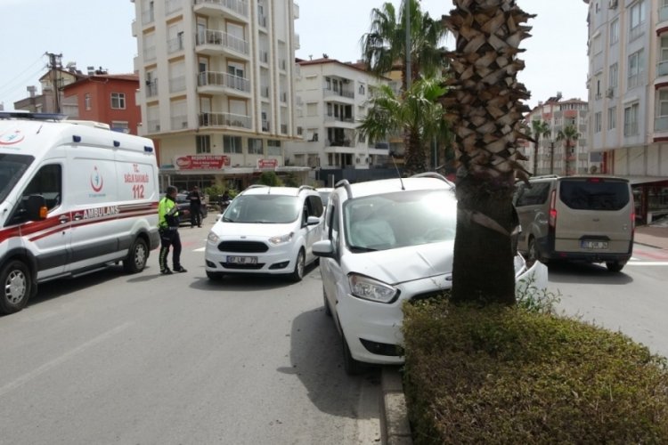 Ticari ara&ccedil; kontrolden &ccedil;ıktı ref&uuml;jdeki palmiyeye &ccedil;arptı