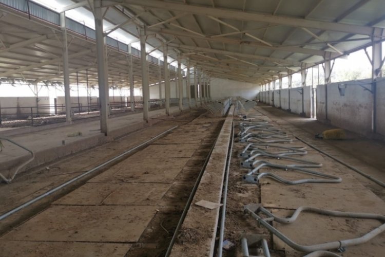 Besi &ccedil;iftliğinde hırsızlık yaparken jandarma yakaladı
