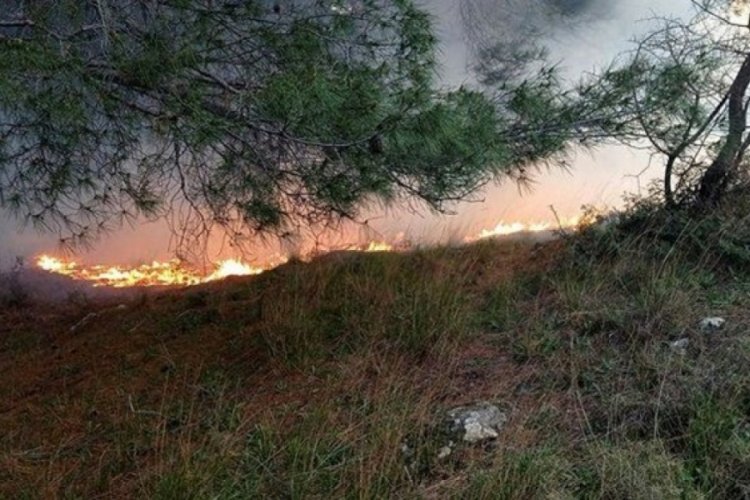 Balıkesir'de ormanlık alanda yangın &ccedil;ıktı