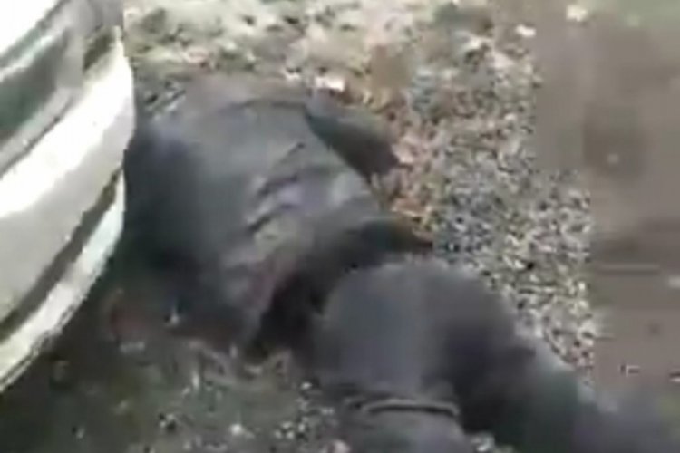 Darp edip başını ezmeye &ccedil;alıştılar