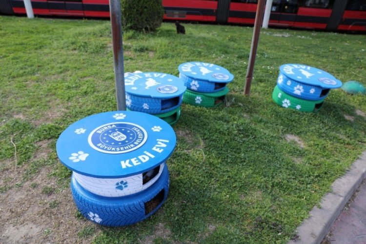 Bursa'da kedilere &ouml;zel 'lastik ev'