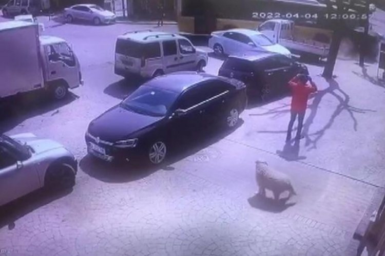 İETT otob&uuml;s&uuml; 4 araca &ccedil;arptı