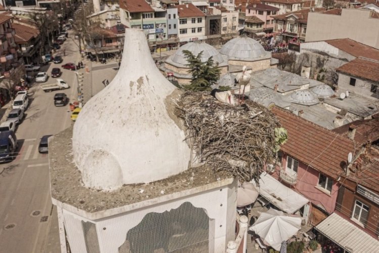 Bursa'da saat kulesinin leylek &ccedil;ifti yuvaya d&ouml;nd&uuml;