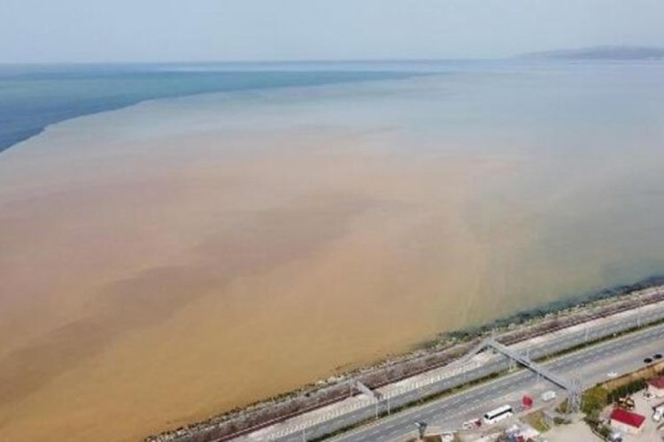 Karadeniz'de derelerde taşkın riski