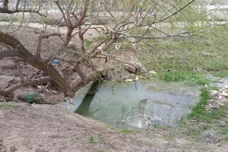 5 yaşındaki &ccedil;ocuk boğularak hayatını kaybetti
