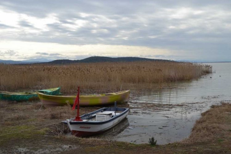 Bursa'da Uluabat Gölü yok oluyor: Yaşayan gölü öldürdük (ÖZEL HABER)
