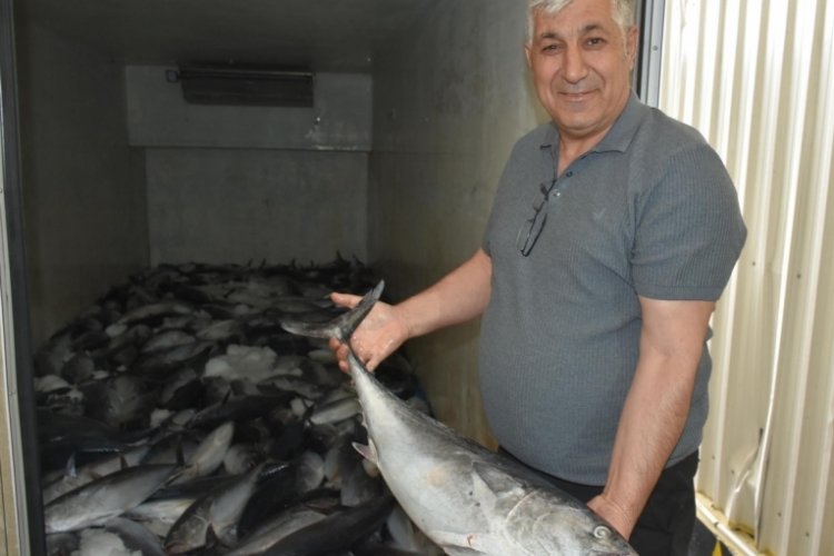 Ege Denizi'nde ağlar doldu